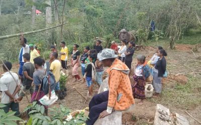 IEUA assistance for Timor-Leste union farming communities