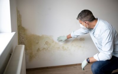 Mould at work is a health and safety issue