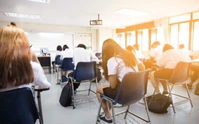 IEU voice heard in Anti-Bullying Rapid Review